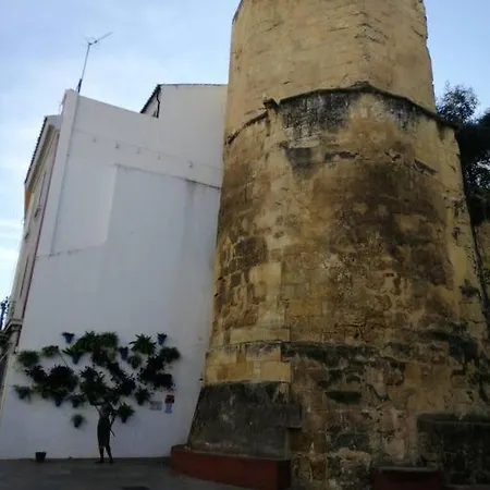 Trotamundos, Nuevo En El Centro