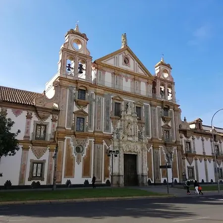 Trotamundos, Nuevo En El Centro