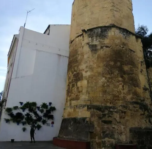 Trotamundos, Nuevo En El Centro