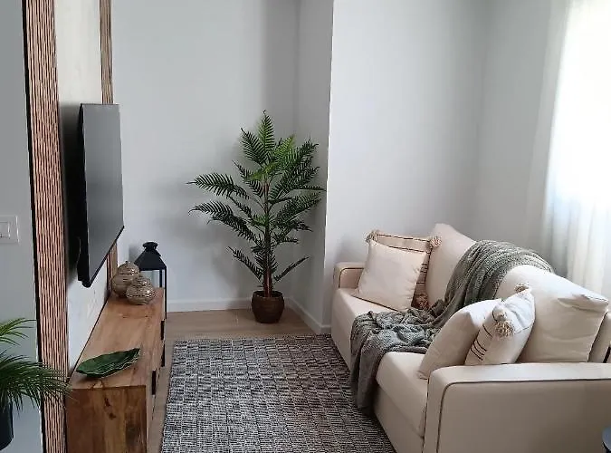 Trotamundos, Nuevo En El Centro