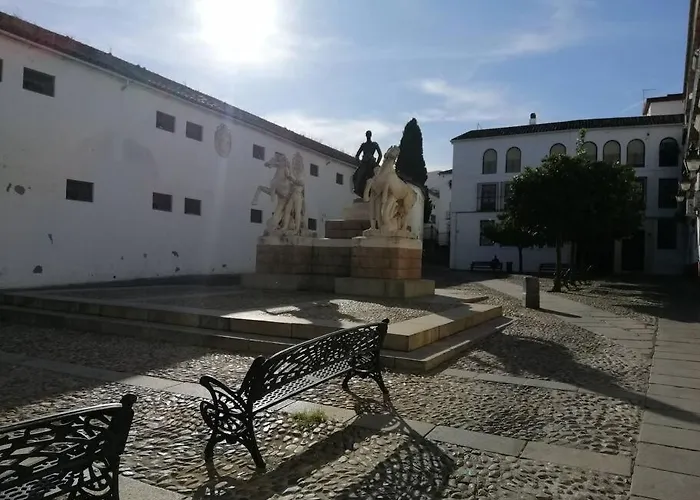 Trotamundos, Nuevo En El Centro *